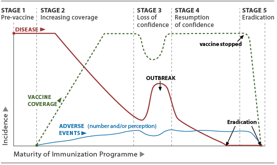 01 potential stages