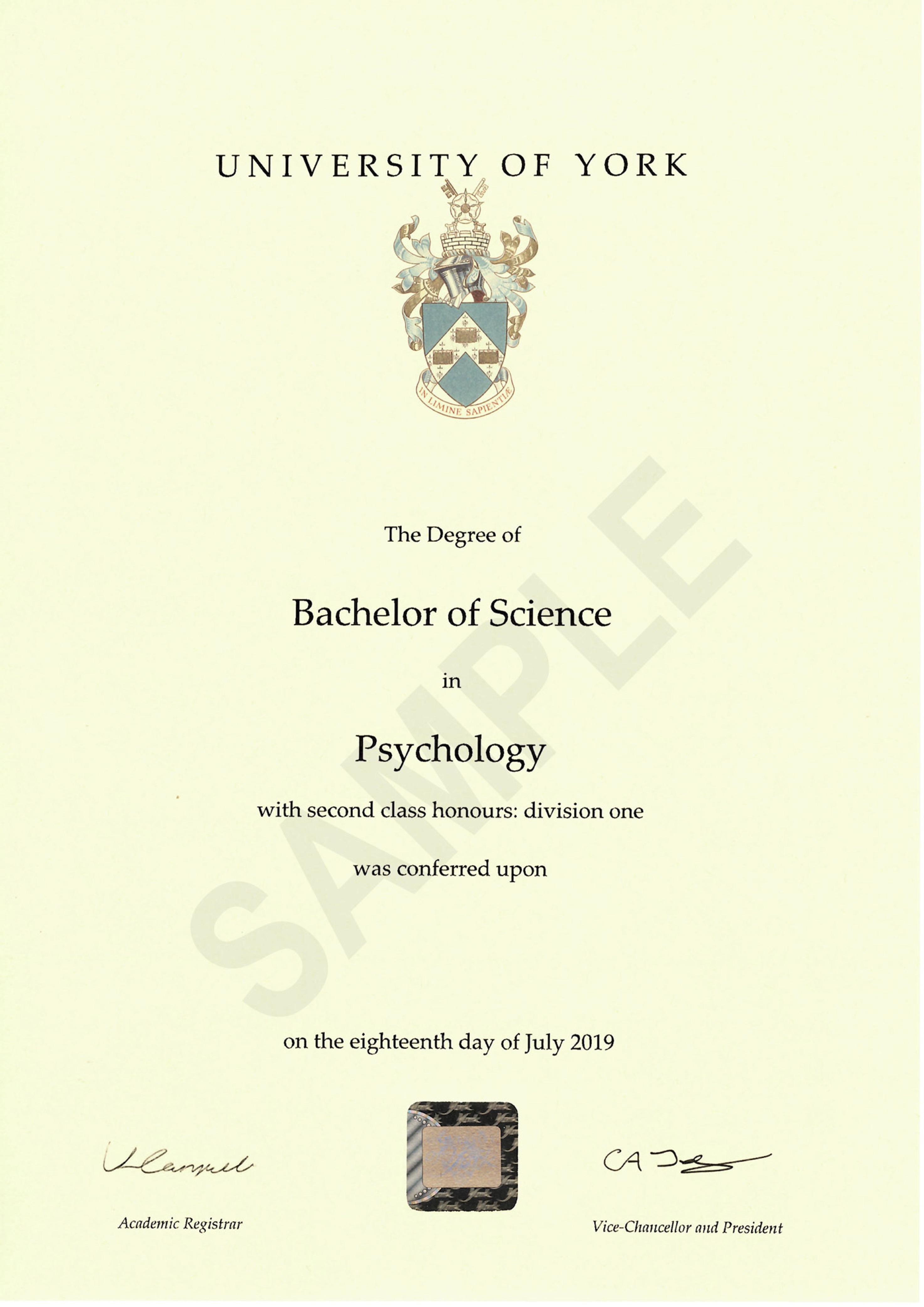 York degree BSc