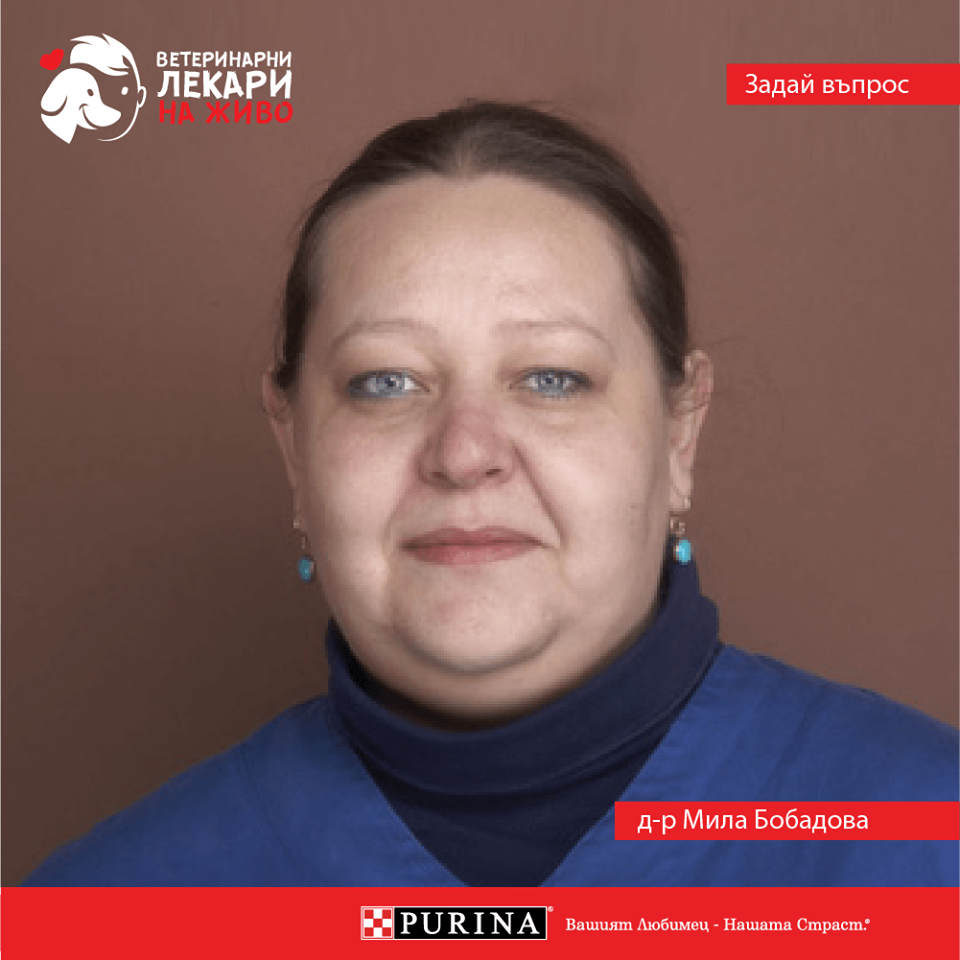 Mila Bobadova