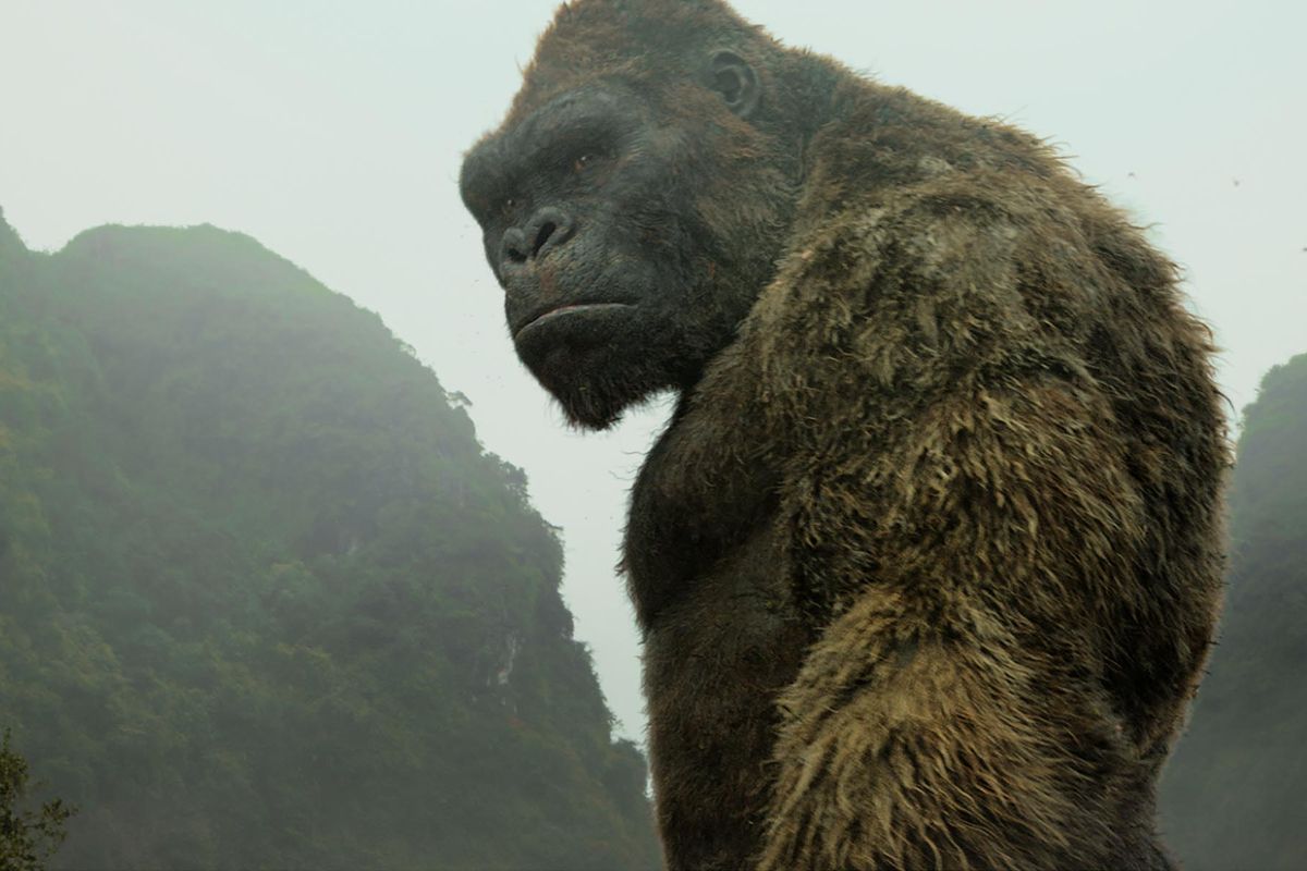 kongkong 0