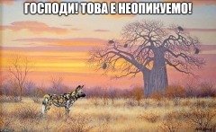 Меме