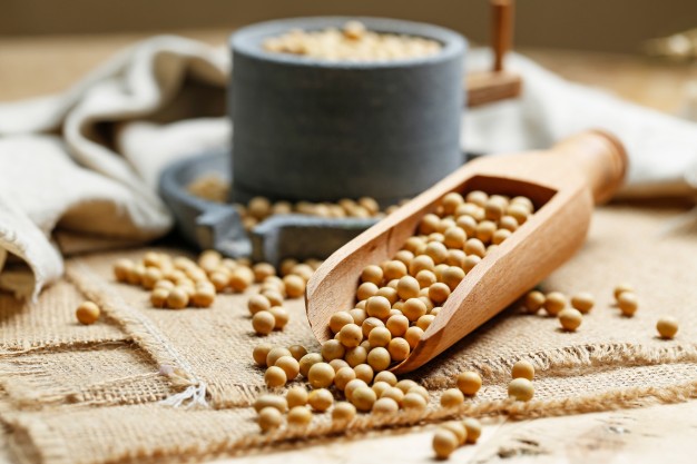 soybeans in wooden scoop and a little stone mill 1387 306