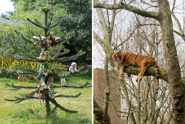 stuffed toys in a tree